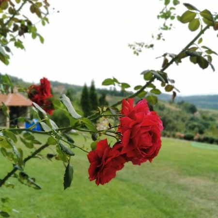 Domacinstvo Sindelic Hotell Ivanjica Exteriör bild