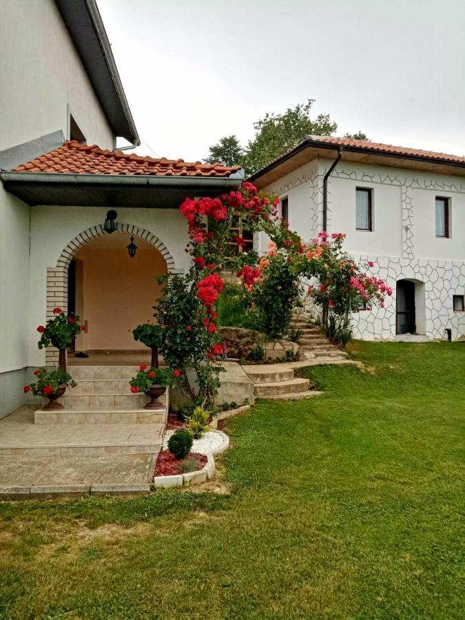 Domacinstvo Sindelic Hotell Ivanjica Exteriör bild