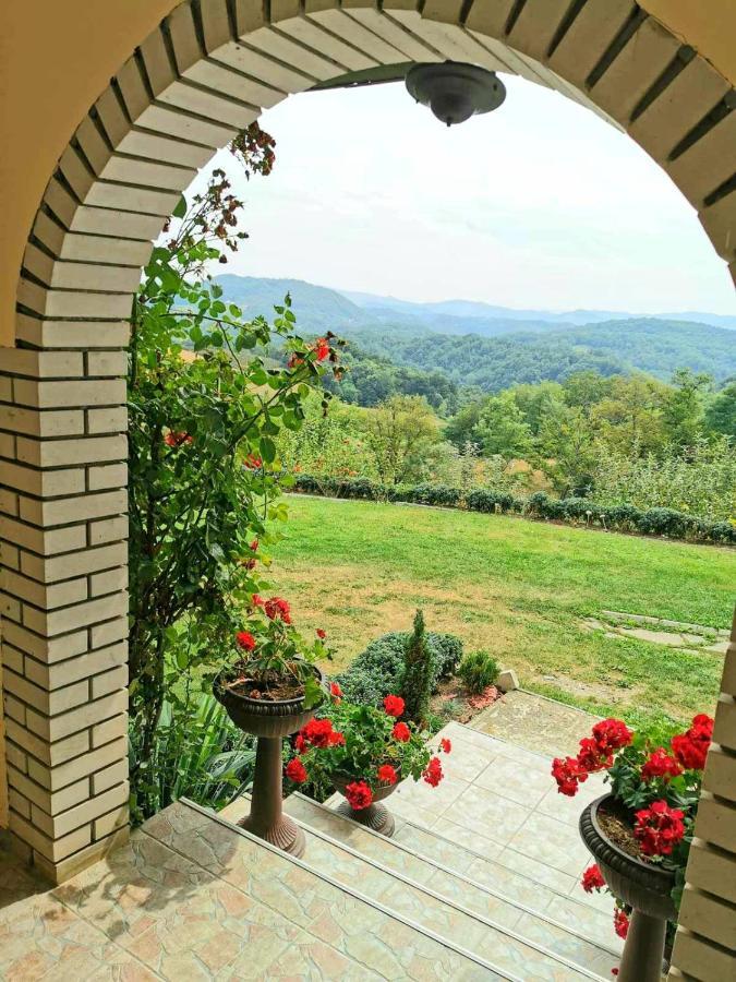 Domacinstvo Sindelic Hotell Ivanjica Exteriör bild